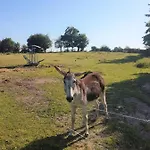 אתר קמפינג De La Chagnee