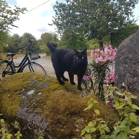 De La Chagnee Saint-Aubin-le-Cloud