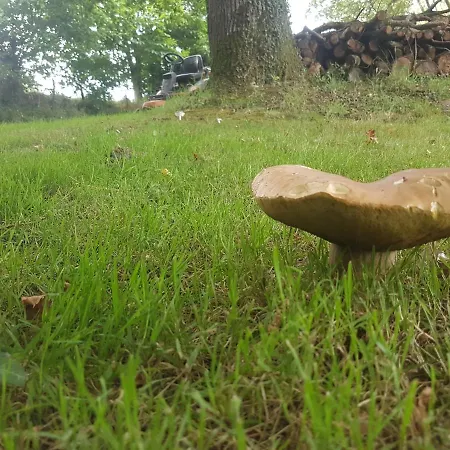 De La Chagnée Camping Saint-Aubin-le-Cloud
