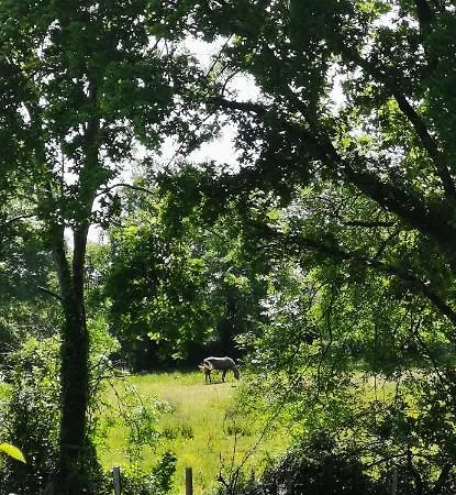 De La Chagnée Camping 3*