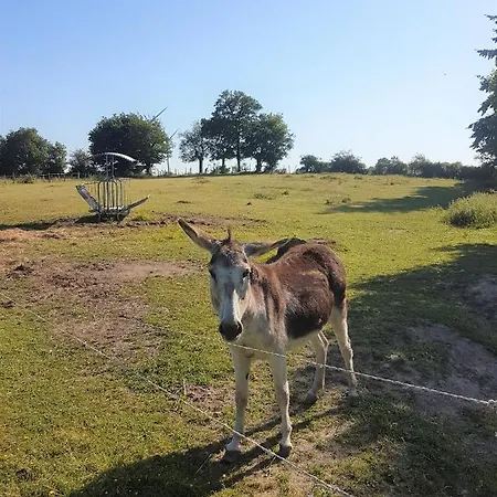 Kemping De La Chagnee