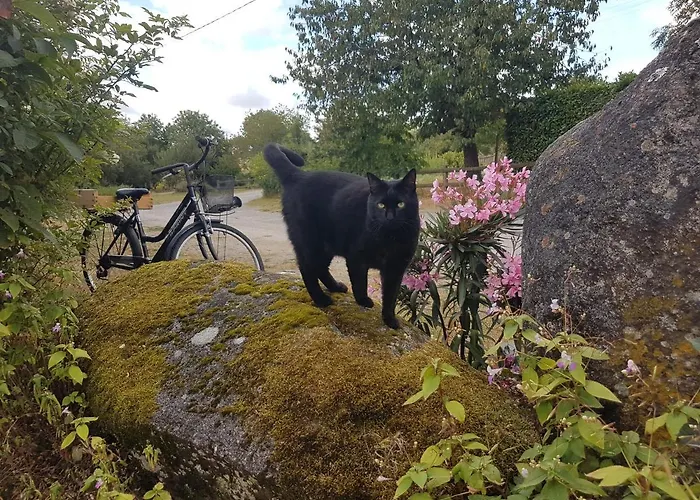 De La Chagnee Saint-Aubin-le-Cloud