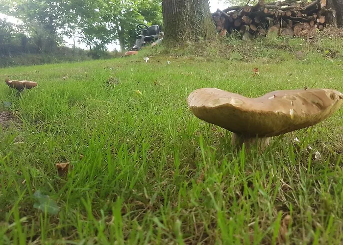 De La Chagnée Camping Saint-Aubin-le-Cloud