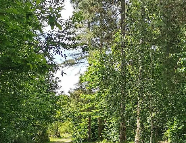 De La Chagnée Camping 3*