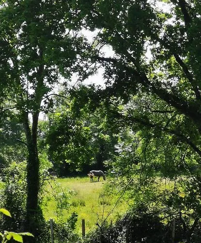 De La Chagnee Parque de Campismo 3*