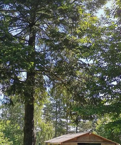 De La Chagnée Camping