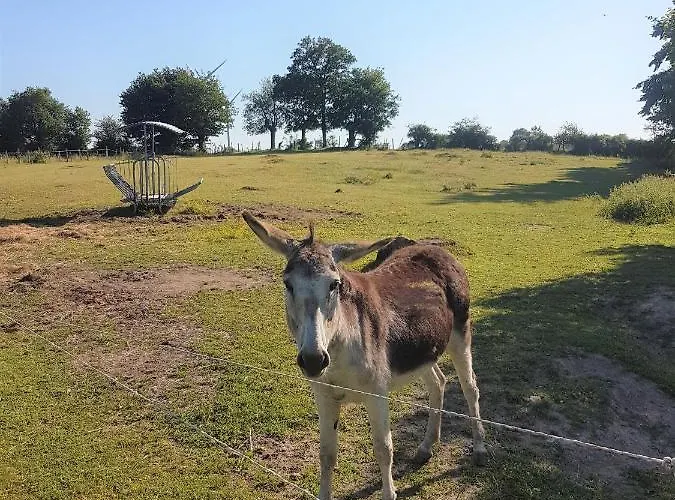 Camping De La Chagnée