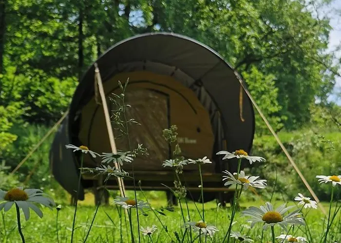 Camping De La Chagnée 3*