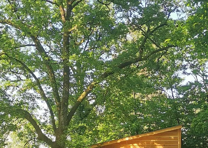 Camping De La Chagnée